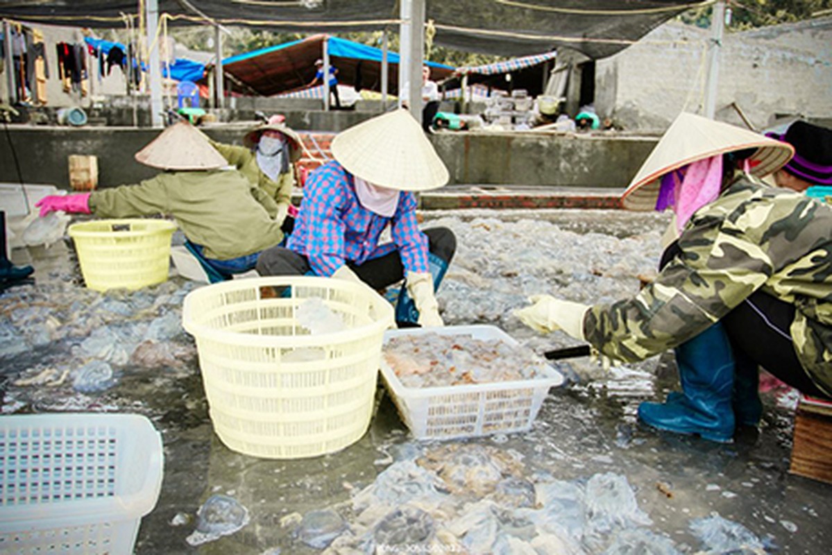 Ngu dan vao mua san “vang trang”, kiem chuc trieu moi ngay-Hinh-9